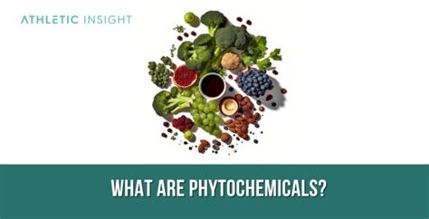 Phytochemicals Definition What It Does Sources And Benefits