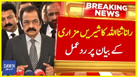 Rana Sanaullah Ka Shireen Mazari Kay Bayan Per Rad E Amal Breaking