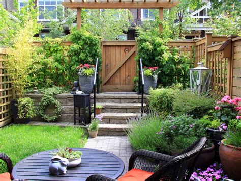 16 Attractive Patio Plants for Your Outdoor Space