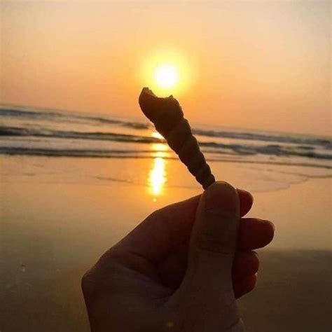 Vũng Tàu Những điều bình dị P P Bikini Thương hiệu đồ bơi nữ đồ bơi nam hàng đầu Việt Nam