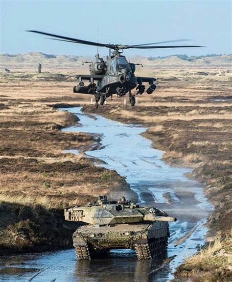 C 17 facts everything you need to know – Artofit