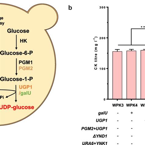 Pdf Systematic Optimization Of The Yeast Cell Factory For Sustainable