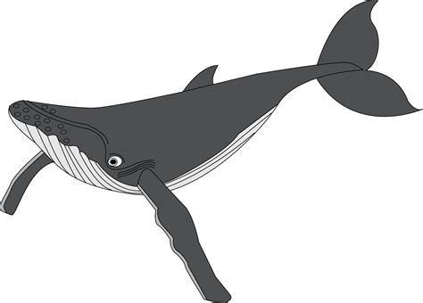 Free Black Whale Cliparts, Download Free Black Whale Cliparts png ...