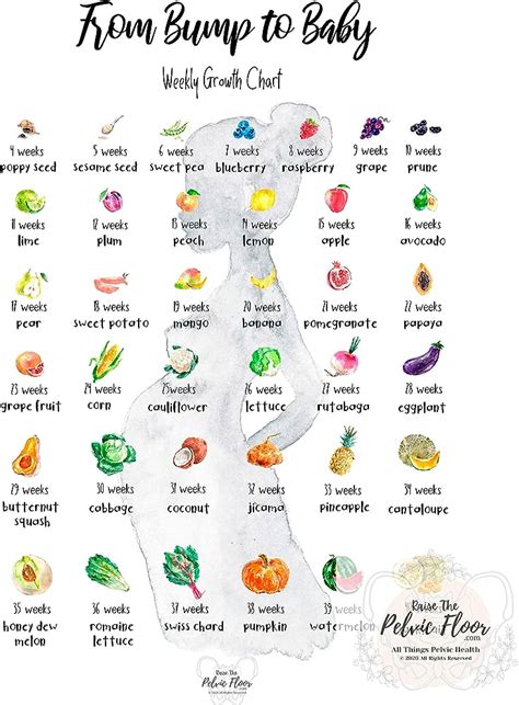 Baby Size Chart Fruit And Veg | lupon.gov.ph