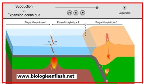 La Tectonique Des Plaques Cours De Svt Me Vive Les Svt