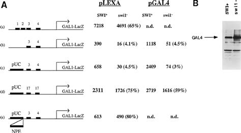 Gal4 Requires Functional Swi Snf Complex To Activate Transcription From Download Scientific