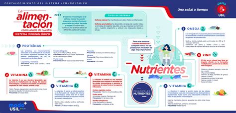 La Alimentaci N Como Aliado De Nuestro Sistema Inmunol Gico Te