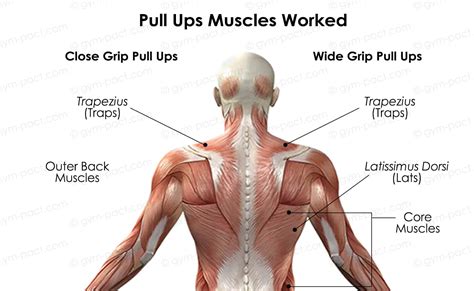 The Surprising Benefits Of Pull Ups You Should Know