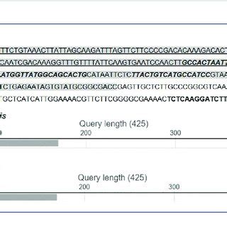 MinION sequencing data details. | Download Scientific Diagram