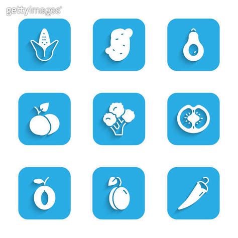 Set Broccoli Plum fruit Hot chili pepper Tomato Mango Avocado and Corn icon Vector 이미지