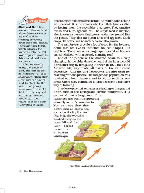 Ncert Book Class Social Science Geography Chapter Human