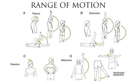 Upper Extremity Range Of Motion Exercises