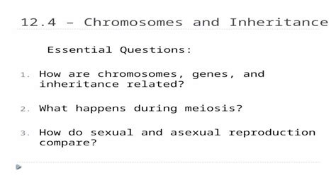 Pptx 124 Chromosomes And Inheritance Essential Questions 1 How Are Chromosomes Genes