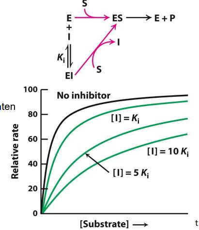 Lecture 11: Enzyme Inhibition Flashcards | Quizlet