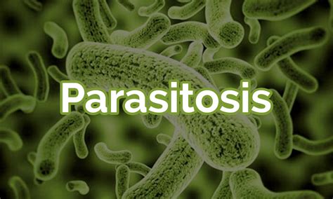 Parasitosis Edulabc