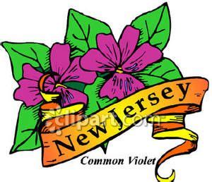 new jersey state flower drawing - Jann Lumpkin
