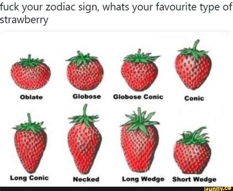 Fuck Your Zodiac Sign Whats Your Favourite Type Of Strawberry Oblate Conic Necked Long
