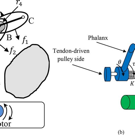 Cprf Principle Of Operation A Tendon Actuating B Vsa Download