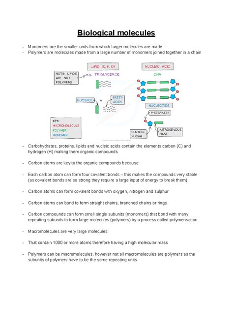 11 Biological Molecules Biological Molecules Monomers Are The