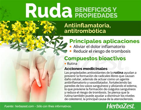 Pin En Hierbas Para La Salud