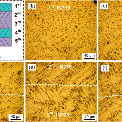 Microstructure At The Vicinity Of The In In Interface A Is The