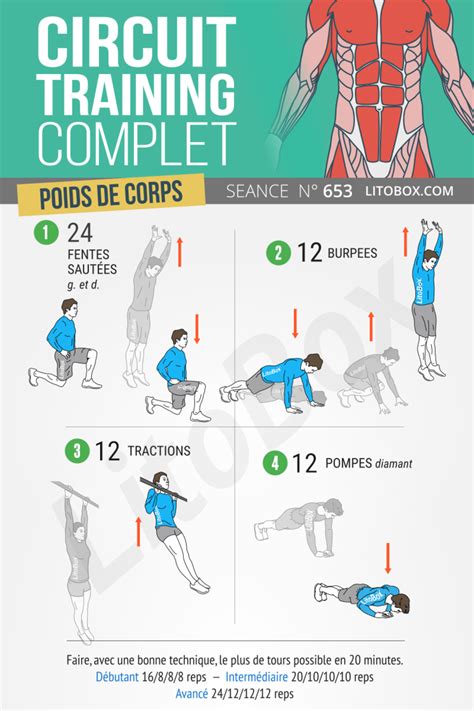 Circuit Training Complet Programme PDF Musculation A La Maison