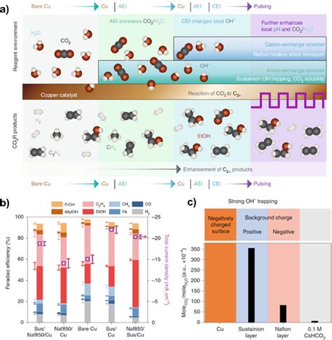 Polymer Covered Copper Catalysts Alter The Reaction Pathway Of The