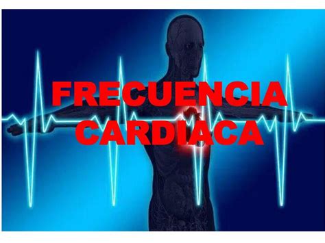 Frecuencia Cardiaca Camila Sarmiento Udocz