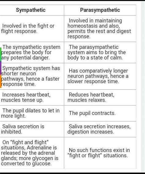 Parasympathetic And Sympathetic Nervous System Differences