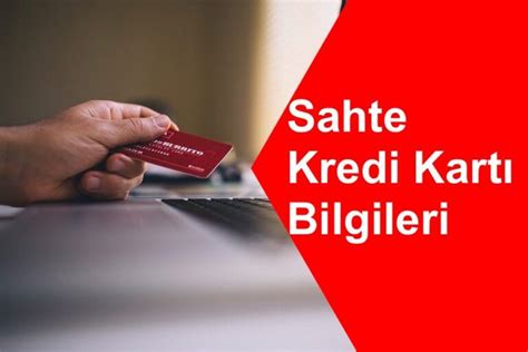 Sahte Kredi Kartı Bilgileri Vaynat