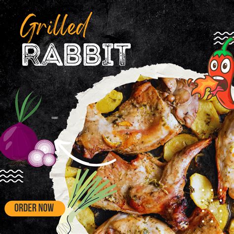 Fresh Rabbit Meat Cuts Whole Rabbit Nutritious And Healthy