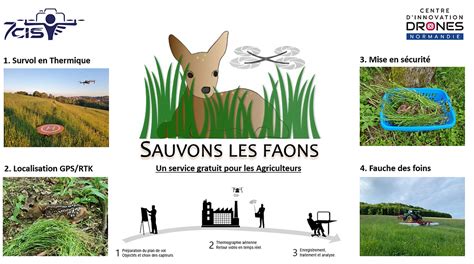 Sauvons Les Faons