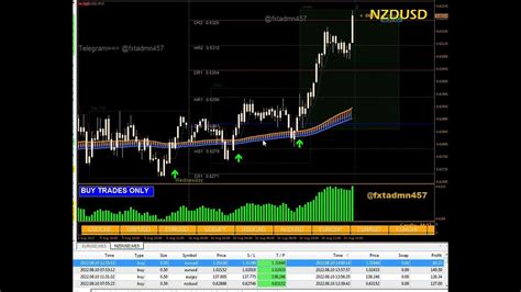 Forex Holy Grail Indicator Youtube