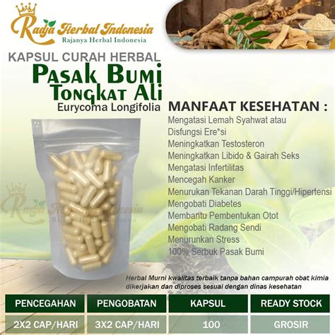 Jual Kapsul Herbal PASAK BUMI Menjaga Stamina Tubuh 100 Capsul Shopee