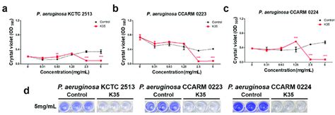 Anti Biofilm Formation Activities Of P Inopinatus K35 Against A P