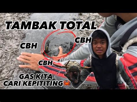 Cari CBH Di Tambak Yg Habis Total Wah Banyak Cbh Nya Tambak