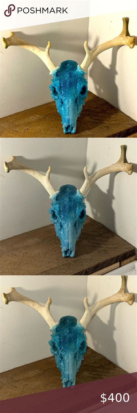 Real Borax Crystallized Deer Skull 8pt Turquoise Borax Crystals Diy Diy Skulls Deer Skulls