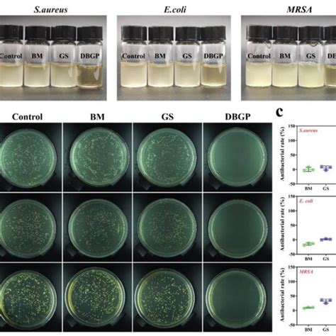 A Digital Photos Of S Aureus E Coli And Mrsa Suspensions After