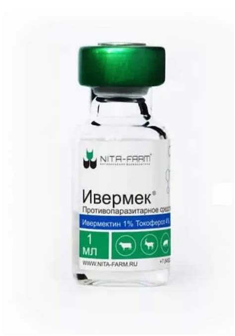 Ивермек для кошек: способ применения, отзывы и дозировка