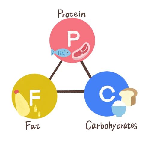 【初心者向け】摂取カロリーとpfcバランスの計算方法｜ダイエットを簡単に成功させる Rita Style Online Shop Blog