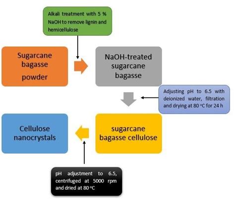 Scheme For The Extraction Of Cellulose Nanocrystals From Sugarcane Bagasse Download