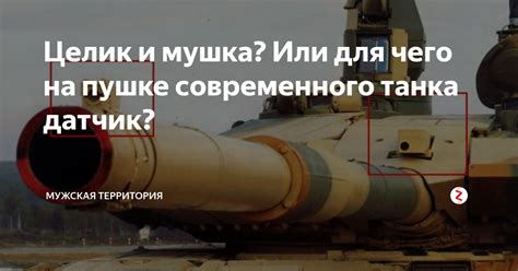 Целик и мушка? Или для чего на пушке современного танка датчик ...
