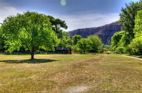 Green Pasture Free Stock Photo - Public Domain Pictures