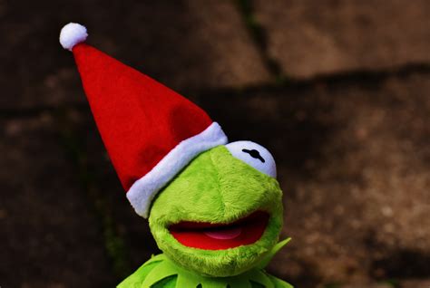 1280x1024 wallpaper | kermit the frog plush toy | Peakpx