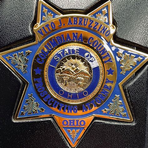 Columbiana County courts cases are reaching a new record volume 7