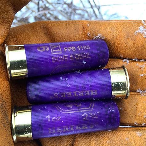 Chasin’ the Winter Blues: Hunting Kansas’ Other Quail - Harvesting Nature