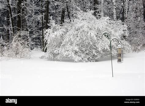 Snowy winter scene Stock Photo - Alamy