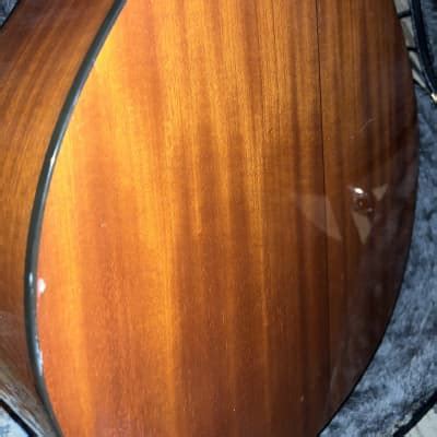 Takamine G Natural Gloss G Series Reverb