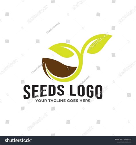 Growing Seed Logo Design Template Fit Stock Vector Royalty Free