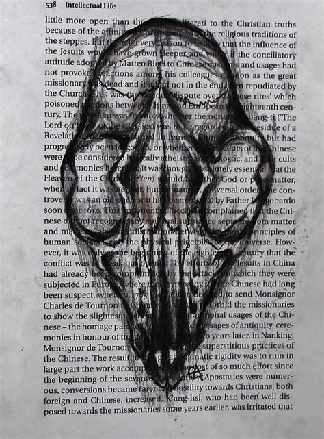 badger skull? by emilyrose727 on DeviantArt